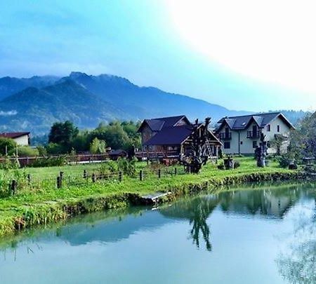 Hasienda Rîşnov Exterior foto
