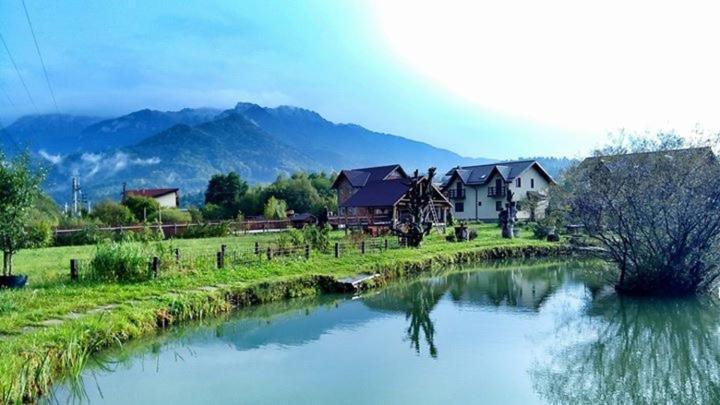 Hasienda Rîşnov Exterior foto