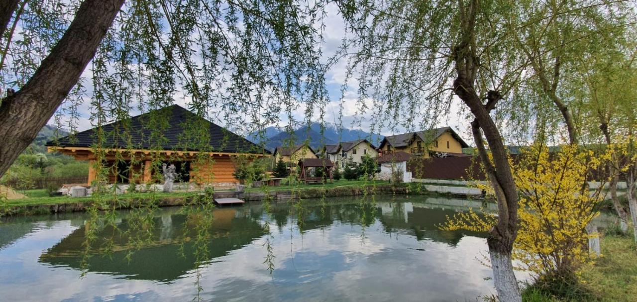 Hasienda Rîşnov Exterior foto