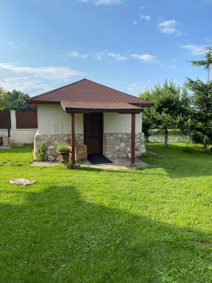 Hasienda Rîşnov Exterior foto